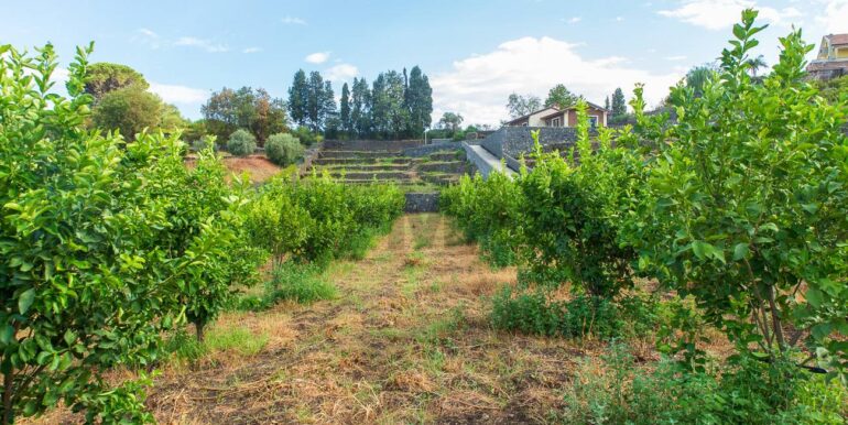 2024082785454-883515-16