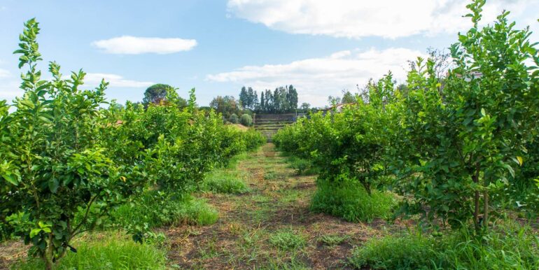 2024082785503-883515-18