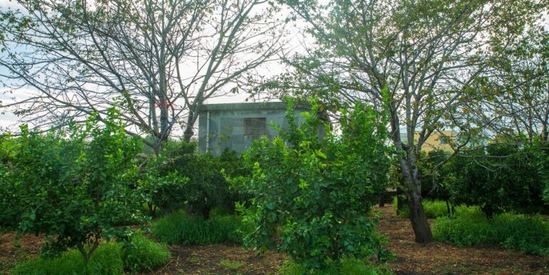 2024082785507-883515-19