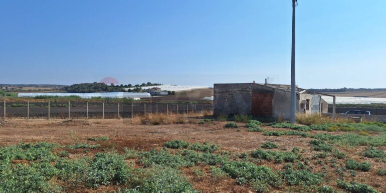 20240830125521-884371-2