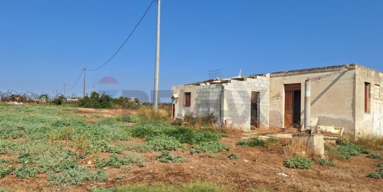 20240830125529-884371-7