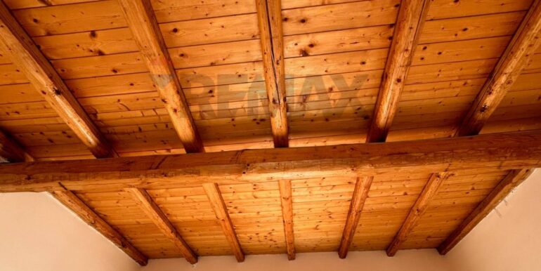 20240902230241-875496-4