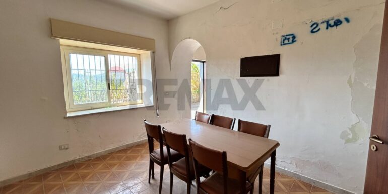 20240902230638-875494-6