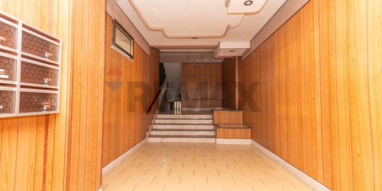 20240909112558-886929-7