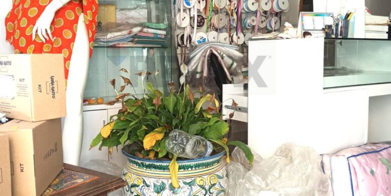 20240909192436-887181-6