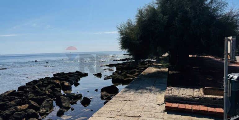 20240919134749-889883-3