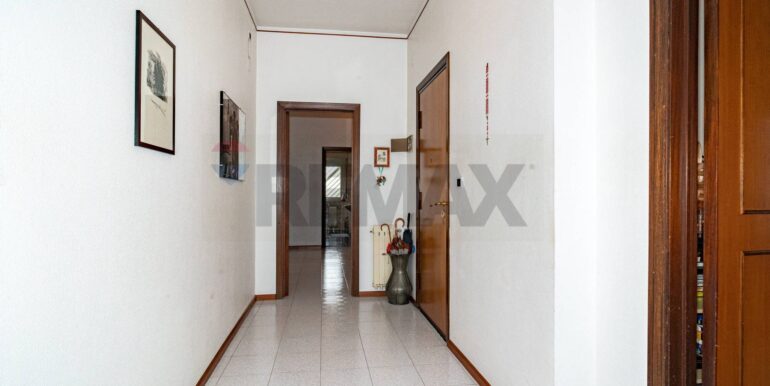 20240920174517-887240-4