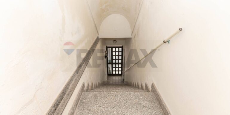 20240925175016-891156-6