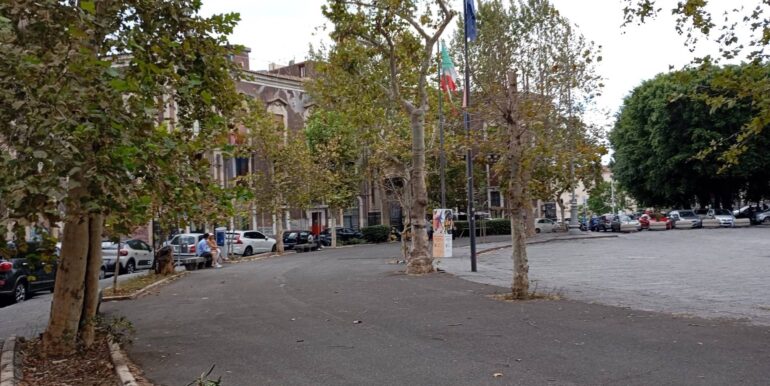 20240930162032-892641-5