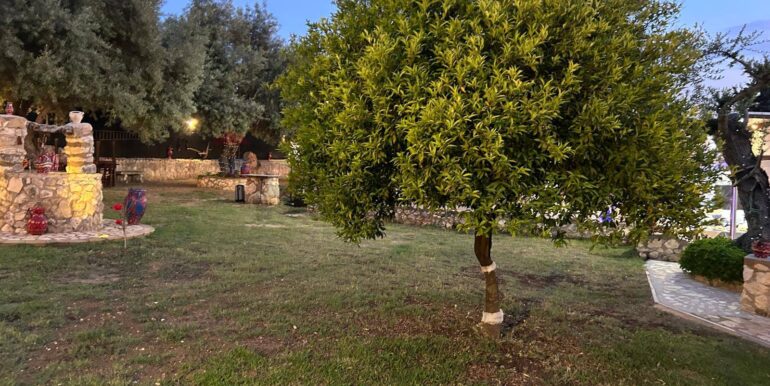 20241001222000-893159-3