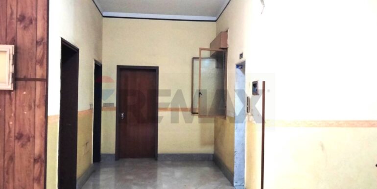 20241007100527-892472-24