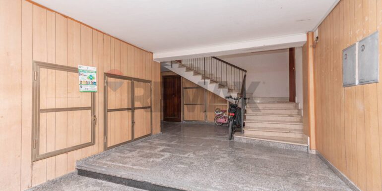 20241012184449-894052-21