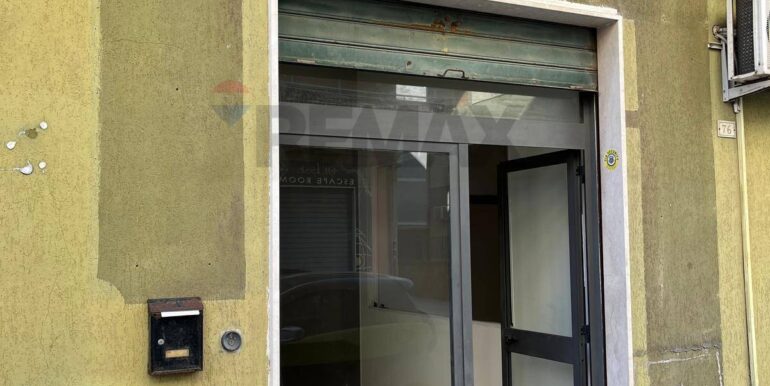 20241016114901-896099-3