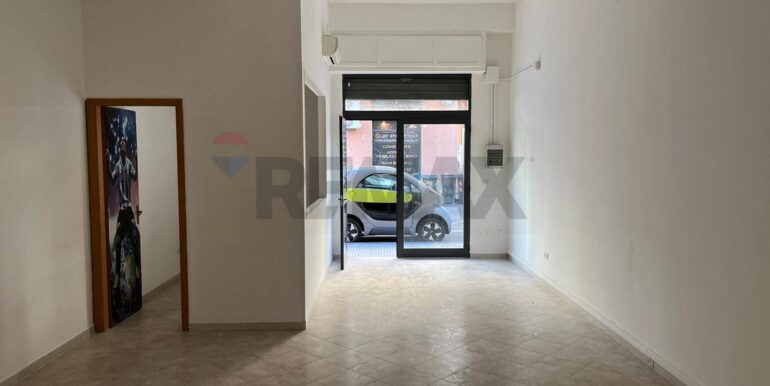 20241016114905-896099-7