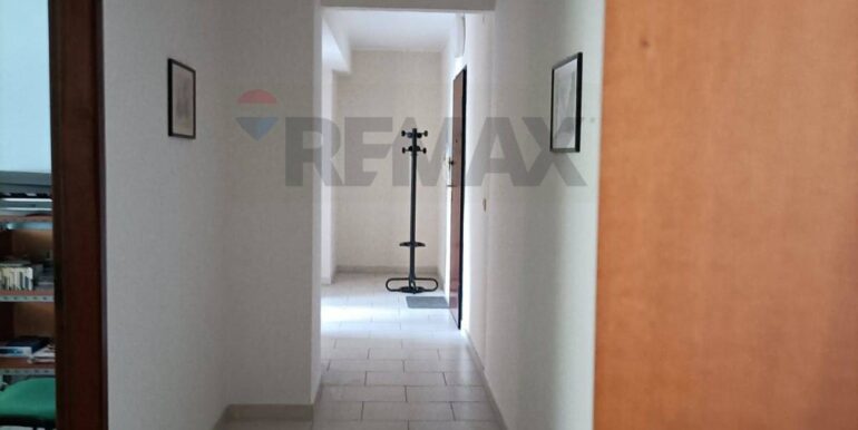 2024101892841-896582-2