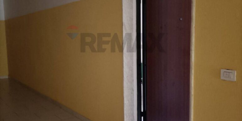 2024101893215-896582-13