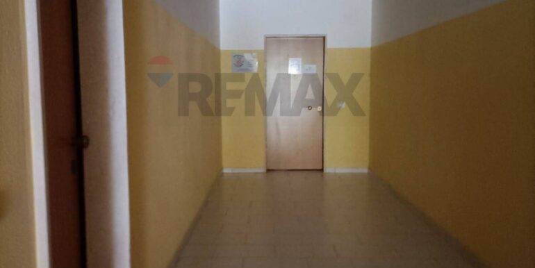 2024101893226-896582-14