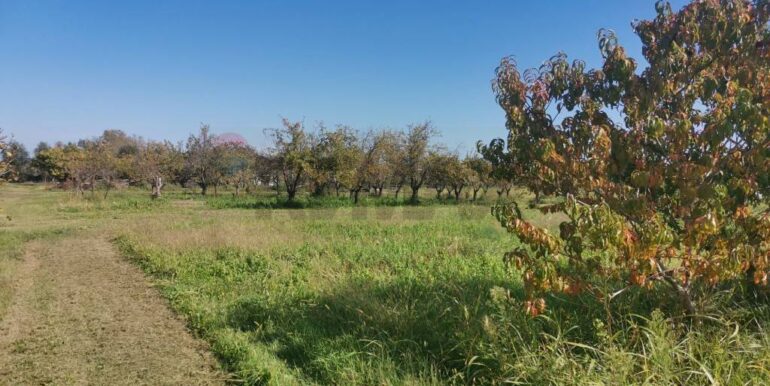 20241029104855-898927-6