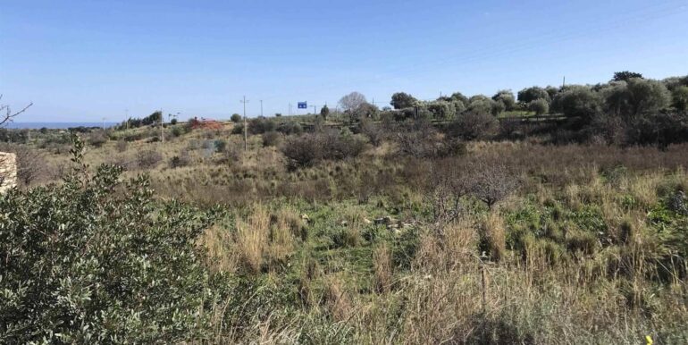 20241029104857-898927-8