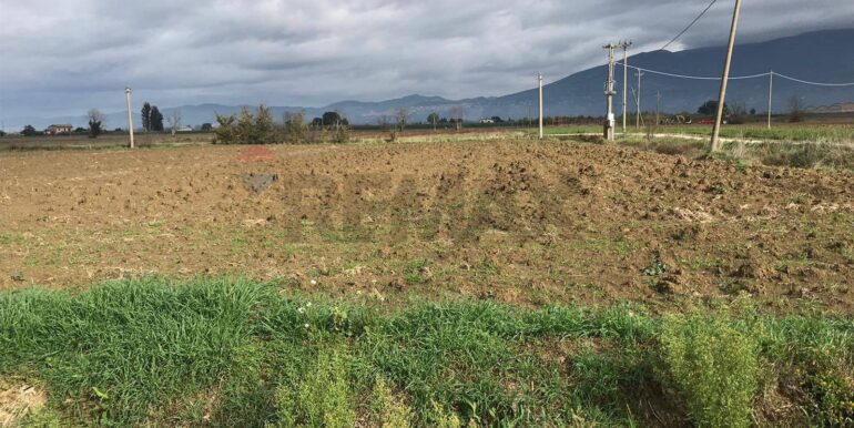 20241029110438-898927-12