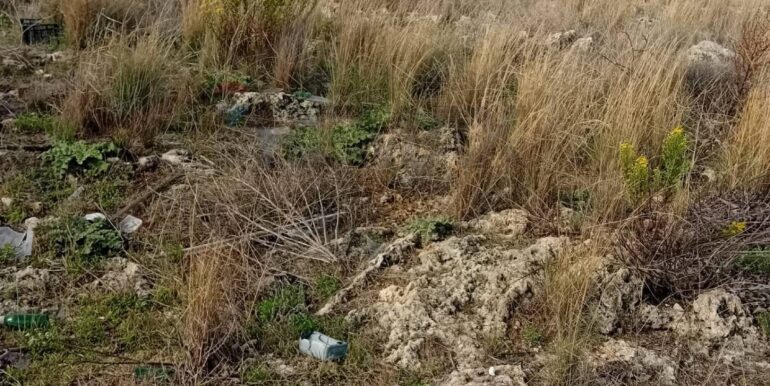 20241029174338-899480-5