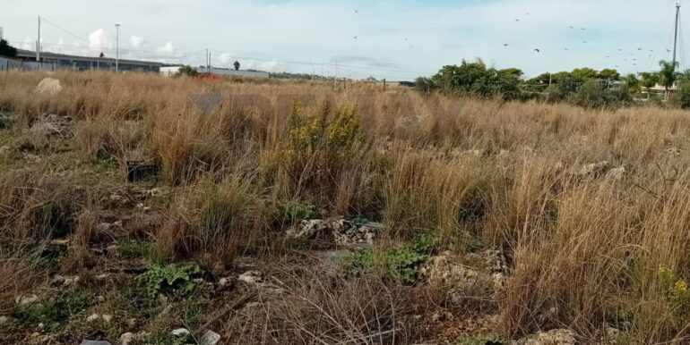 20241029174344-899480-7