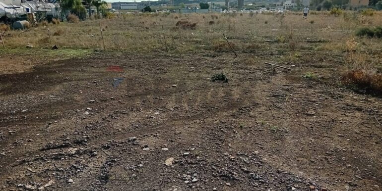 20241029174346-899480-8