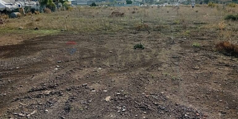 20241029174349-899480-9