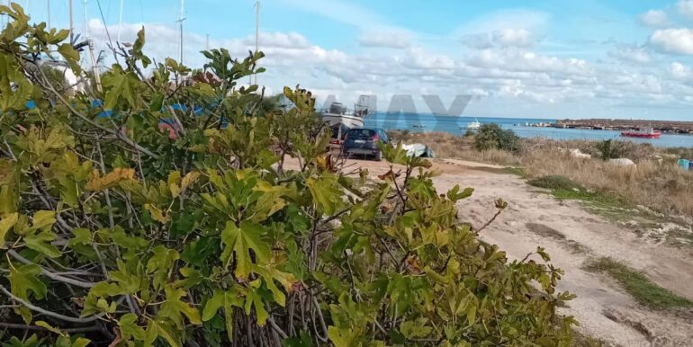 20241029174351-899480-10