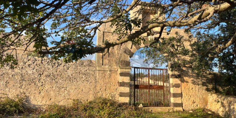 20241030214328-899805-1