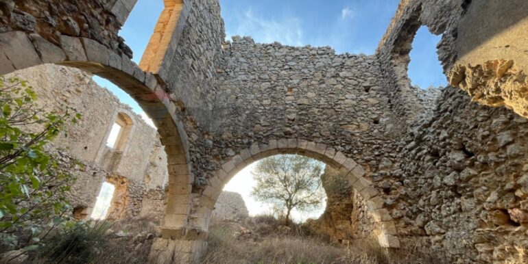 20241030214350-899805-9