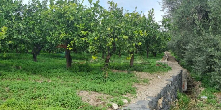 20241105183913-901222-7