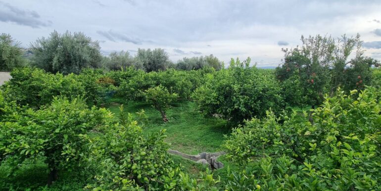 20241105183916-901222-8