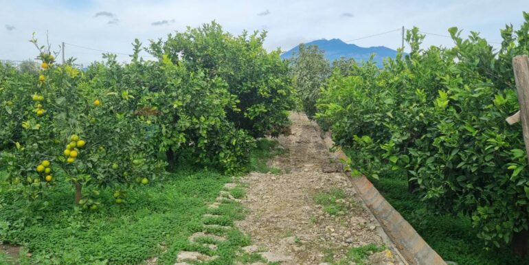 20241105183918-901222-9