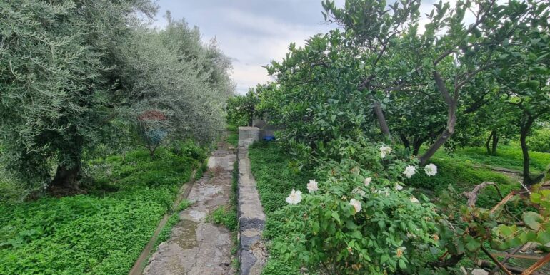 20241105183920-901222-10