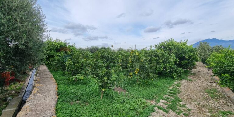 20241105183922-901222-11