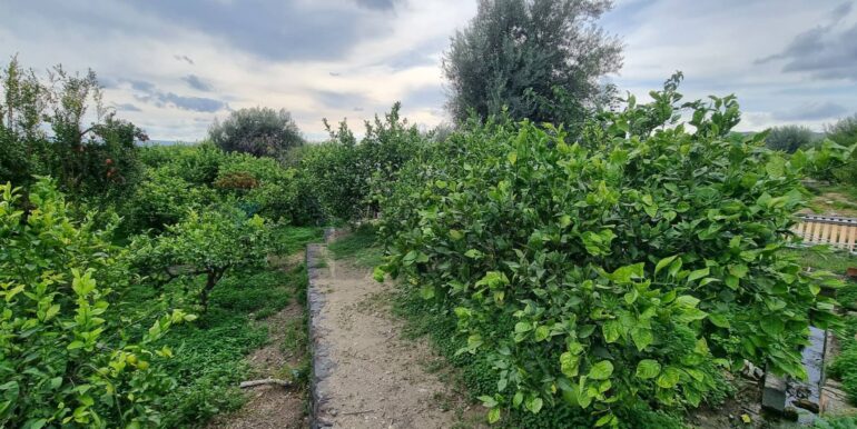 20241105184413-901222-13