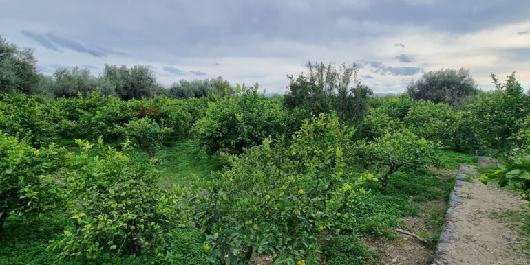 20241105184415-901222-14