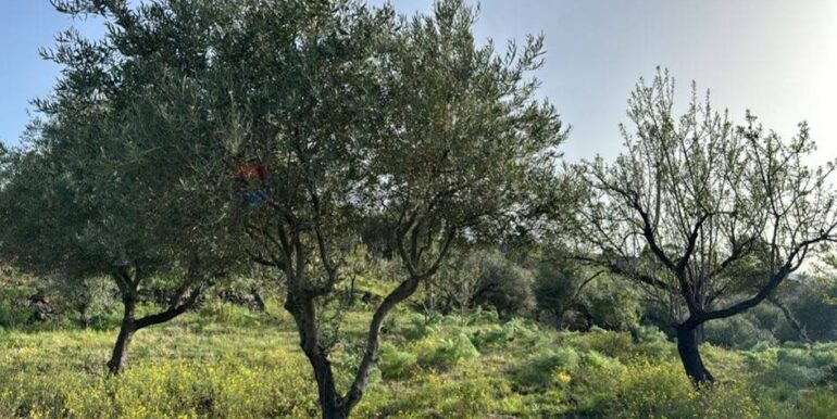 20241112113627-902431-30