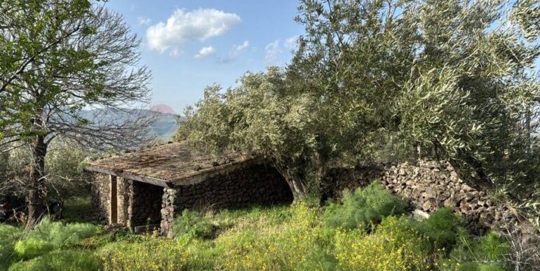 20241112113700-902431-32