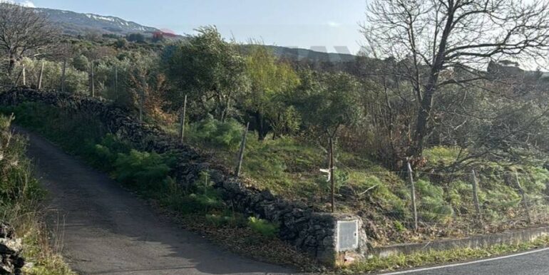 20241112113730-902431-33