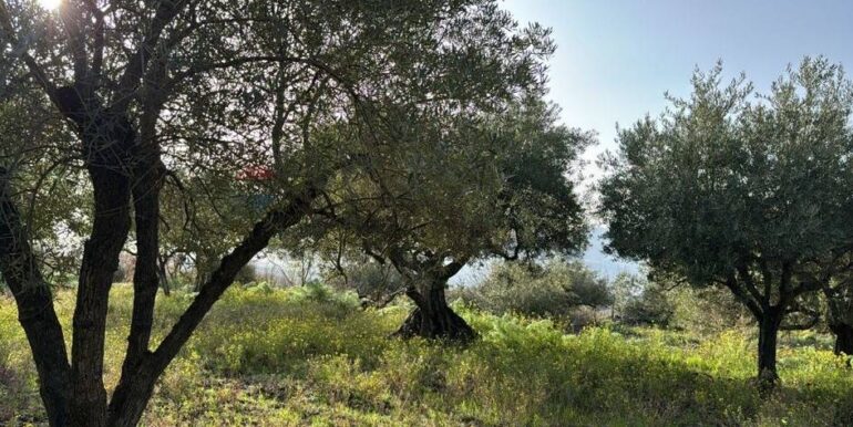 20241112113741-902431-34