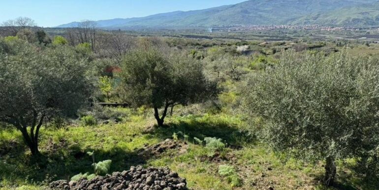 20241112113752-902431-35