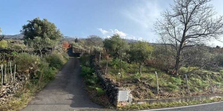 20241112113800-902431-36