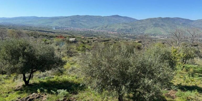 20241112113813-902431-37