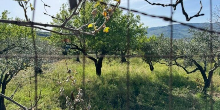 20241112113826-902431-38