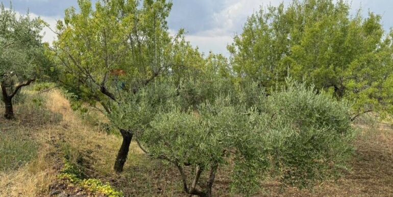 20241112113903-902431-41