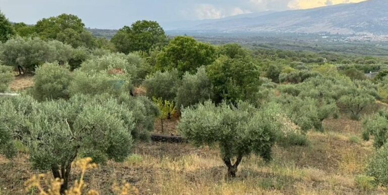 20241112113920-902431-42