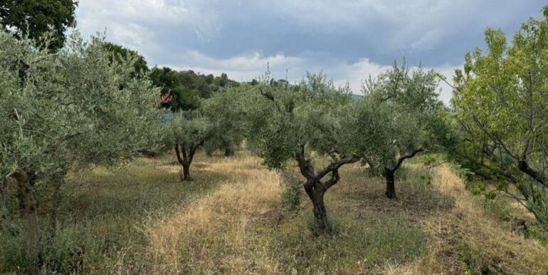 20241112113945-902431-43