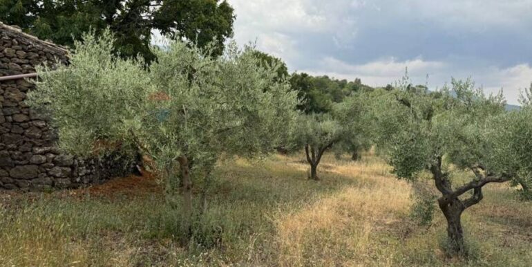 20241112114007-902431-44